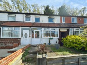 Photo 13- click for photo gallery